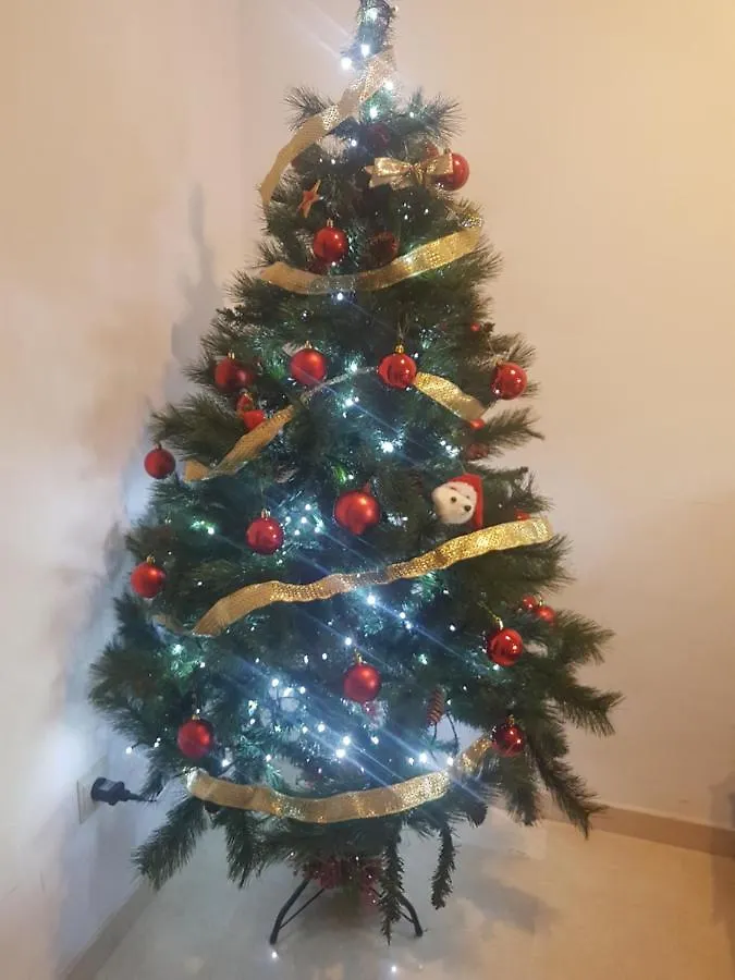 Apartamento Gloria 2 Malaga